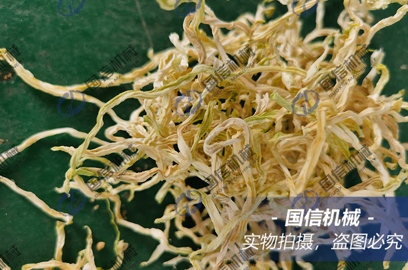 广西来宾木瓜丝烘干现场