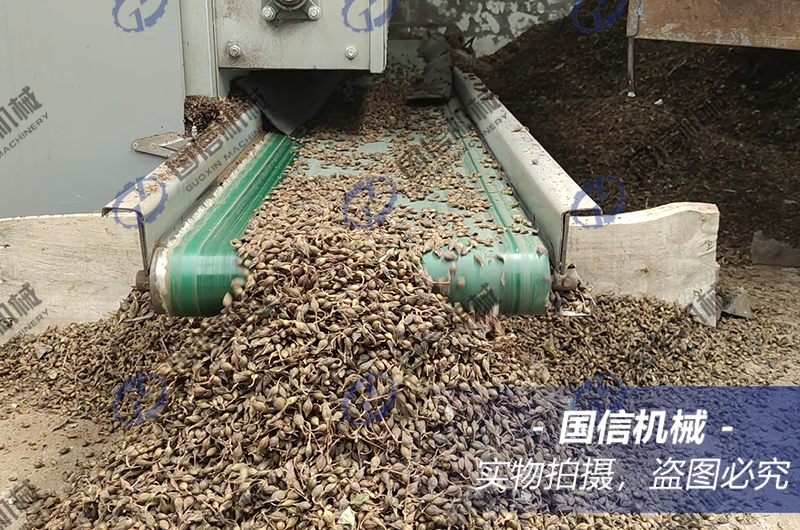 三门峡卢氏连翘烘干现场